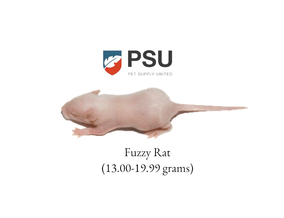 Fuzzy Rat